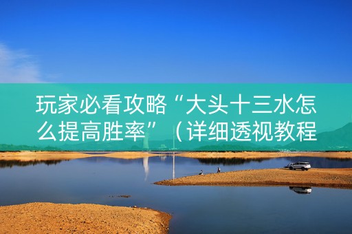 玩家必看攻略“大头十三水怎么提高胜率”（详细透视教程）-哔哩哔哩