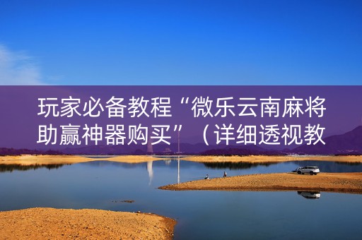 玩家必备教程“微乐云南麻将助赢神器购买”（详细透视教程）-哔哩哔哩