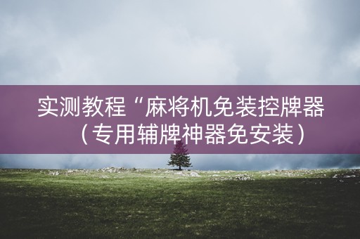 实测教程“麻将机免装控牌器（专用辅牌神器免安装）