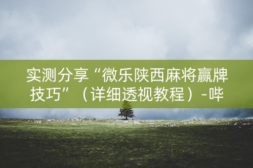 实测分享“微乐陕西麻将赢牌技巧”（详细透视教程）-哔哩哔哩