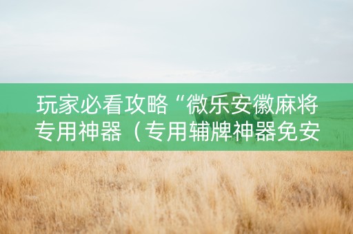 玩家必看攻略“微乐安徽麻将专用神器（专用辅牌神器免安装）