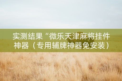 实测结果“微乐天津麻将挂件神器（专用辅牌神器免安装）