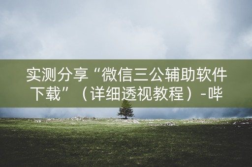 实测分享“微信三公辅助软件下载”（详细透视教程）-哔哩哔哩