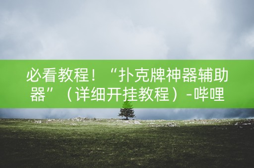 必看教程！“扑克牌神器辅助器”（详细开挂教程）-哔哩哔哩