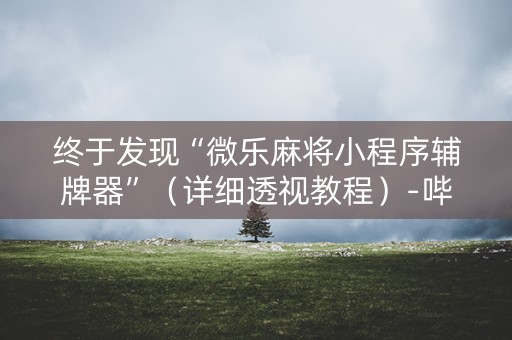 终于发现“微乐麻将小程序辅牌器”（详细透视教程）-哔哩哔哩