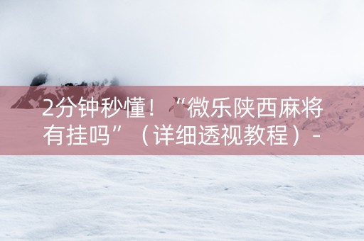2分钟秒懂！“微乐陕西麻将有挂吗”（详细透视教程）-哔哩哔哩