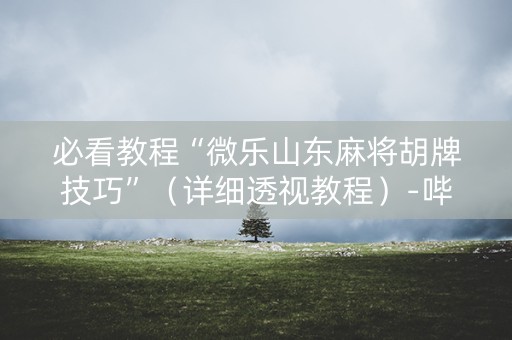 必看教程“微乐山东麻将胡牌技巧”（详细透视教程）-哔哩哔哩