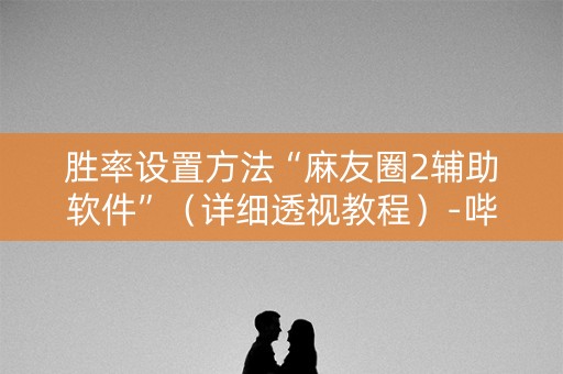 胜率设置方法“麻友圈2辅助软件”（详细透视教程）-哔哩哔哩