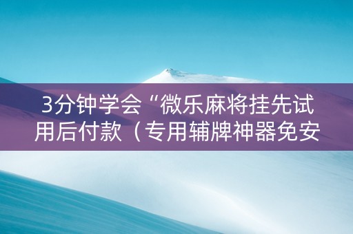 3分钟学会“微乐麻将挂先试用后付款（专用辅牌神器免安装）