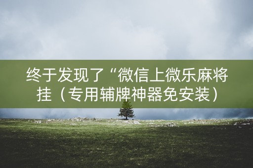 终于发现了“微信上微乐麻将挂（专用辅牌神器免安装）