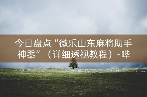 今日盘点“微乐山东麻将助手神器”（详细透视教程）-哔哩哔哩