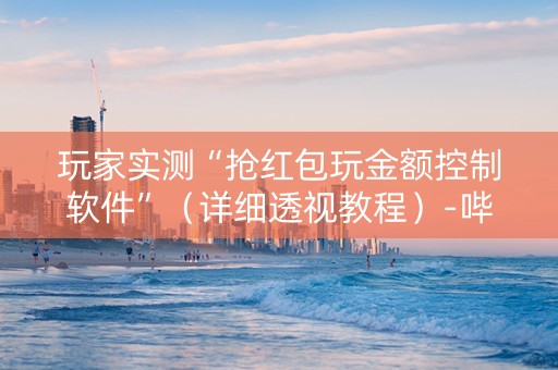 玩家实测“抢红包玩金额控制软件”（详细透视教程）-哔哩哔哩