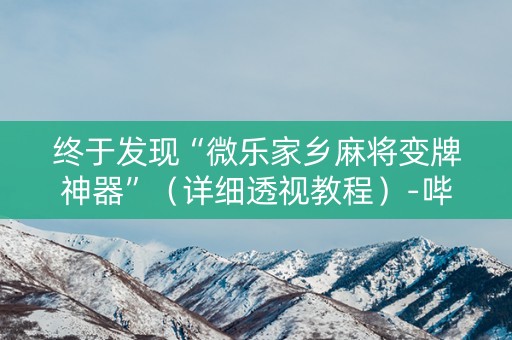 终于发现“微乐家乡麻将变牌神器”（详细透视教程）-哔哩哔哩