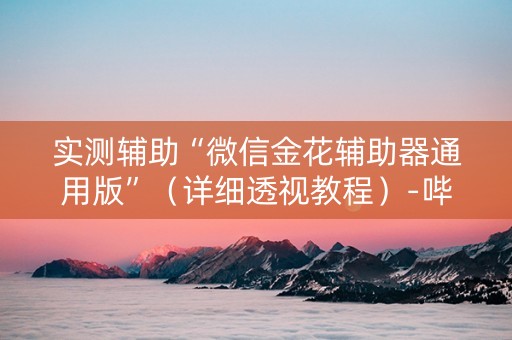 实测辅助“微信金花辅助器通用版”（详细透视教程）-哔哩哔哩