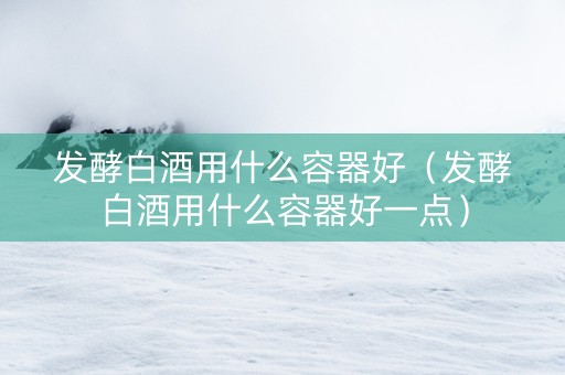 发酵白酒用什么容器好（发酵白酒用什么容器好一点）