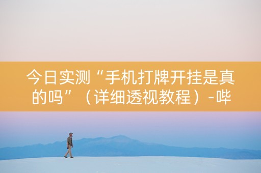 今日实测“手机打牌开挂是真的吗”（详细透视教程）-哔哩哔哩