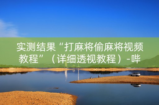 实测结果“打麻将偷麻将视频教程”（详细透视教程）-哔哩哔哩