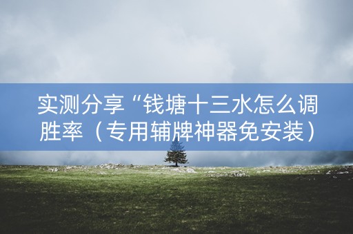 实测分享“钱塘十三水怎么调胜率（专用辅牌神器免安装）
