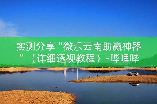 实测分享“微乐云南助赢神器”（详细透视教程）-哔哩哔哩