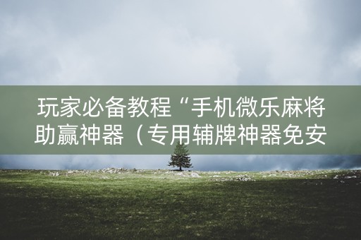 玩家必备教程“手机微乐麻将助赢神器（专用辅牌神器免安装）