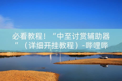 必看教程！“中至讨赏辅助器”（详细开挂教程）-哔哩哔哩