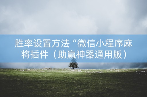 胜率设置方法“微信小程序麻将插件（助赢神器通用版）