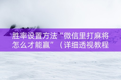 胜率设置方法“微信里打麻将怎么才能赢”（详细透视教程）-哔哩哔哩