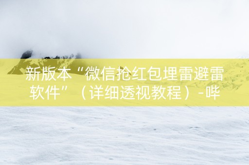 新版本“微信抢红包埋雷避雷软件”（详细透视教程）-哔哩哔哩