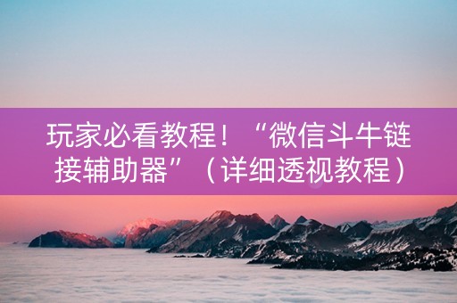 玩家必看教程！“微信斗牛链接辅助器”（详细透视教程）-哔哩哔哩