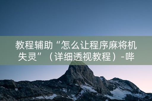 教程辅助“怎么让程序麻将机失灵”（详细透视教程）-哔哩哔哩