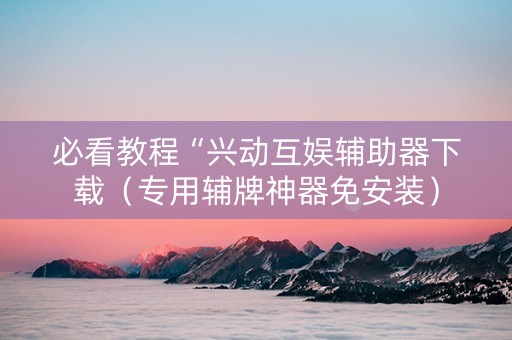 必看教程“兴动互娱辅助器下载（专用辅牌神器免安装）