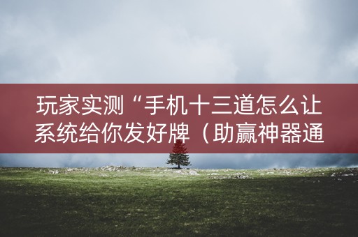 玩家实测“手机十三道怎么让系统给你发好牌（助赢神器通用版）
