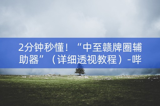 2分钟秒懂！“中至赣牌圈辅助器”（详细透视教程）-哔哩哔哩
