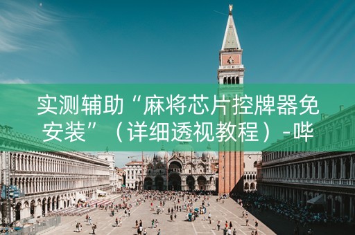 实测辅助“麻将芯片控牌器免安装”（详细透视教程）-哔哩哔哩