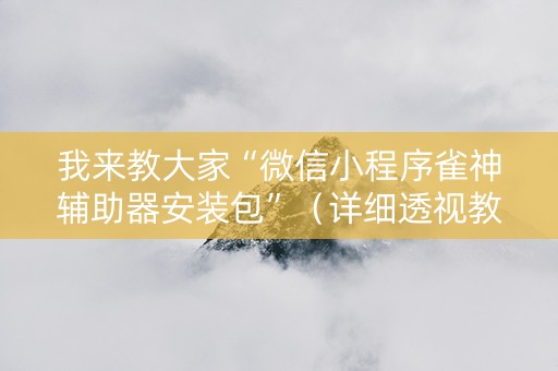 我来教大家“微信小程序雀神辅助器安装包”（详细透视教程）-哔哩哔哩