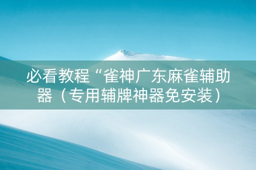 必看教程“雀神广东麻雀辅助器（专用辅牌神器免安装）