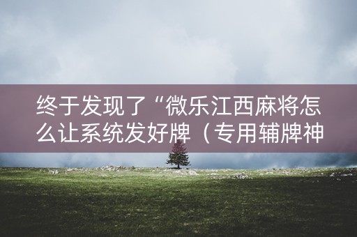 终于发现了“微乐江西麻将怎么让系统发好牌（专用辅牌神器免安装）