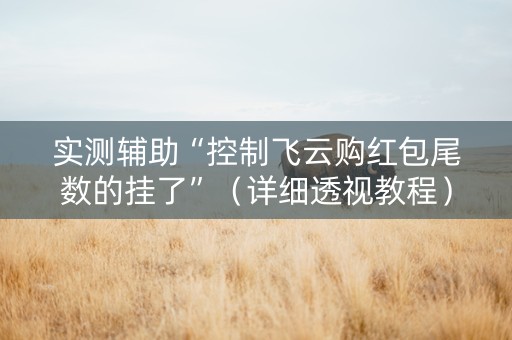 实测辅助“控制飞云购红包尾数的挂了”（详细透视教程）-哔哩哔哩