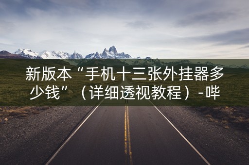 新版本“手机十三张外挂器多少钱”（详细透视教程）-哔哩哔哩