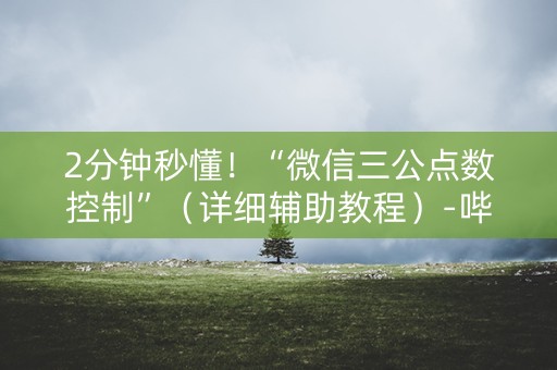 2分钟秒懂！“微信三公点数控制”（详细辅助教程）-哔哩哔哩