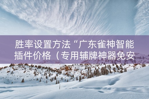 胜率设置方法“广东雀神智能插件价格（专用辅牌神器免安装）