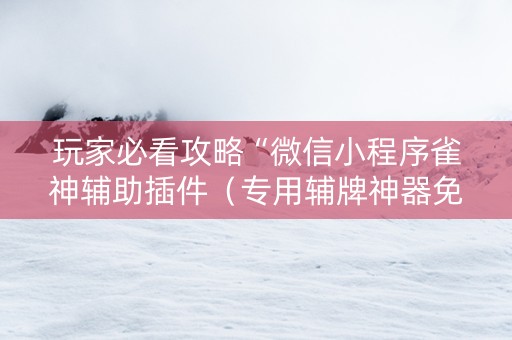 玩家必看攻略“微信小程序雀神辅助插件（专用辅牌神器免安装）