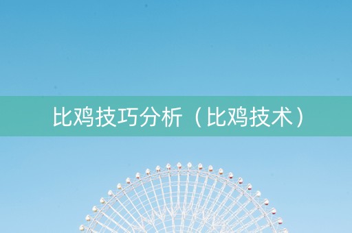 比鸡技巧分析（比鸡技术）