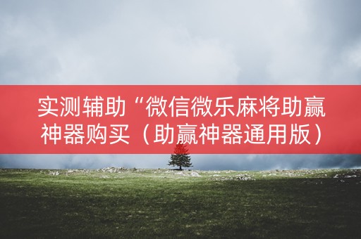 实测辅助“微信微乐麻将助赢神器购买（助赢神器通用版）