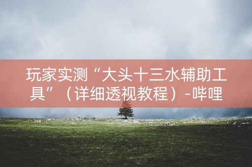 玩家实测“大头十三水辅助工具”（详细透视教程）-哔哩哔哩