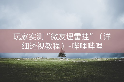 玩家实测“微友埋雷挂”（详细透视教程）-哔哩哔哩