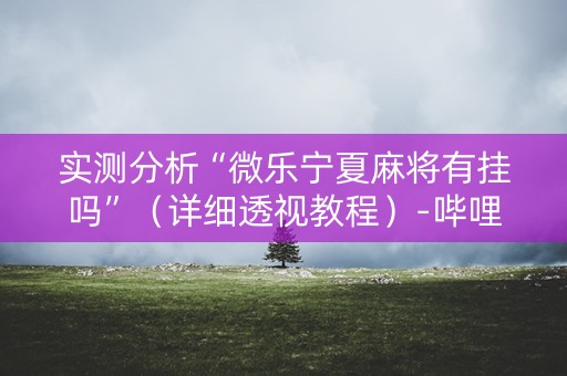 实测分析“微乐宁夏麻将有挂吗”（详细透视教程）-哔哩哔哩