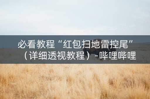 必看教程“红包扫地雷控尾”（详细透视教程）-哔哩哔哩