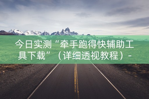今日实测“牵手跑得快辅助工具下载”（详细透视教程）-哔哩哔哩