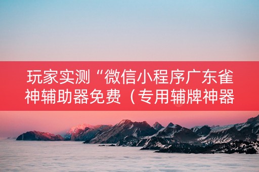 玩家实测“微信小程序广东雀神辅助器免费（专用辅牌神器免安装）